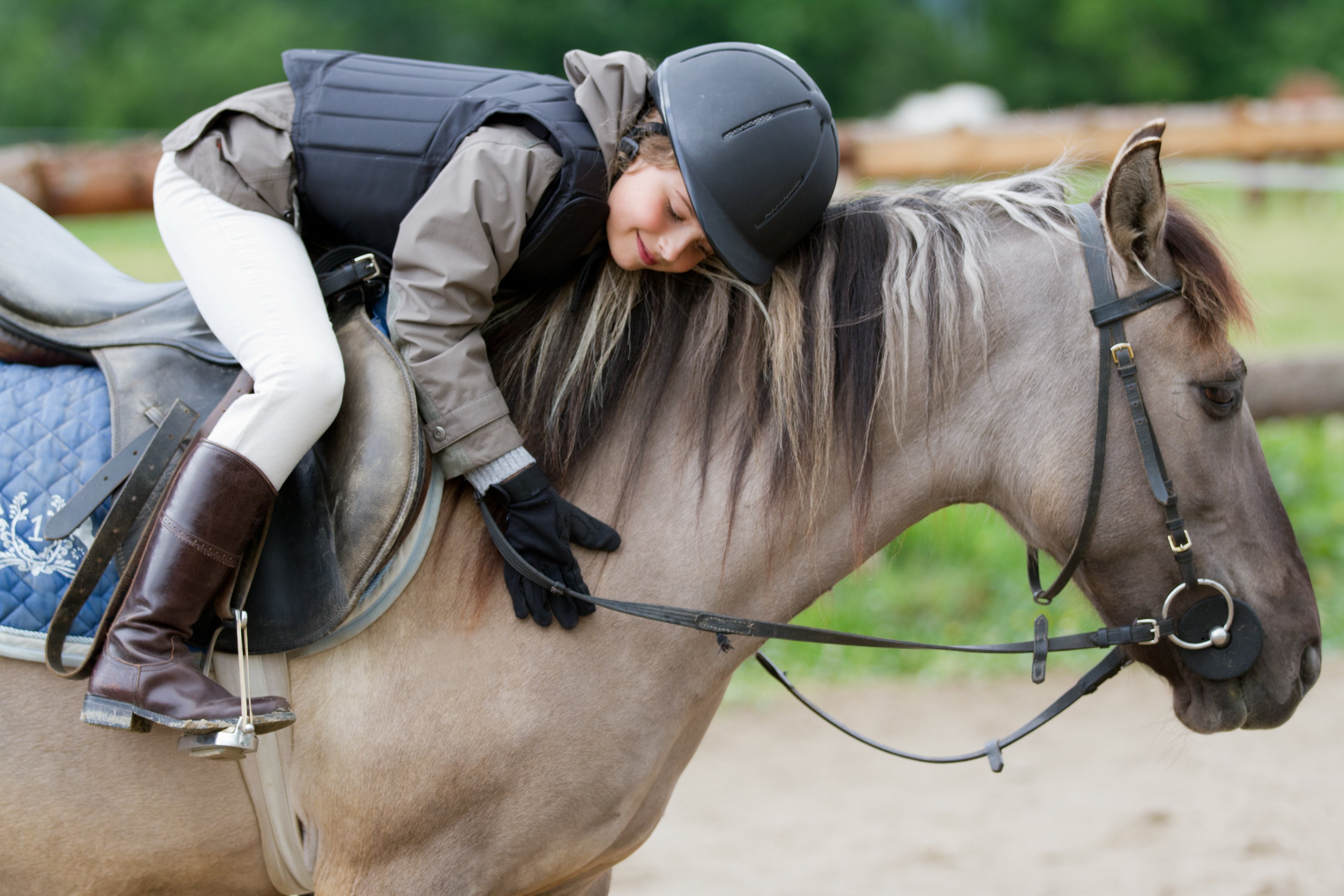 Equestiran 1 (Adobe Stock).jpeg