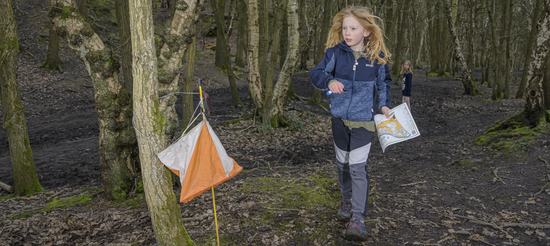 Orienteering Header
