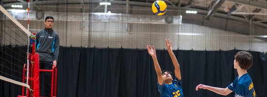 Volleyball landscape