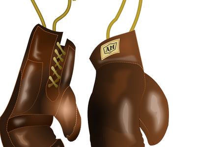 Boxing gloves